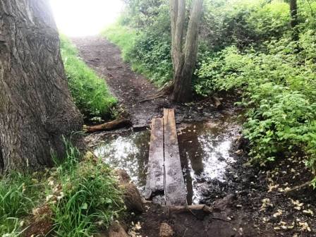 Route through Danes Moss