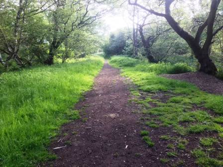 Path out of Danes Moss towards Moss Lane