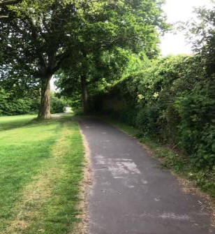 Flower Pot Greenway (Moss)