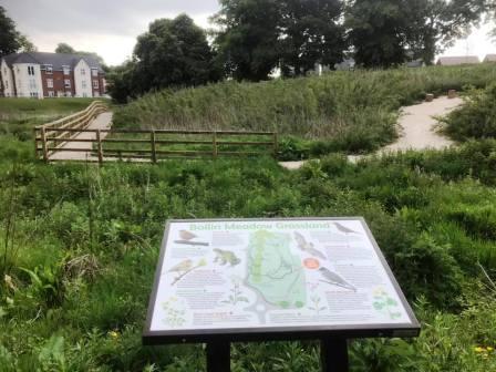 Bollin Meadow Grassland