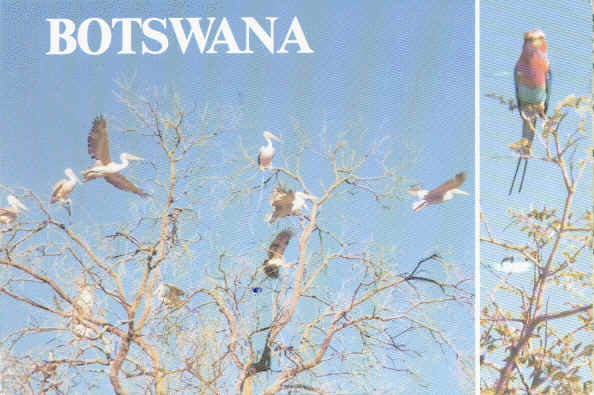 Radio Botswana