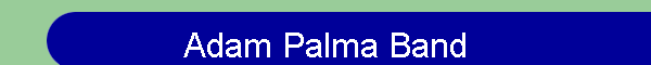 Adam Palma Band