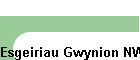 Esgeiriau Gwynion NW-031