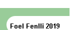 Foel Fenlli 2019