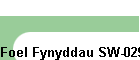 Foel Fynyddau SW-029