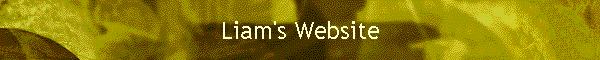 Liam's Website