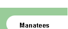 Manatees