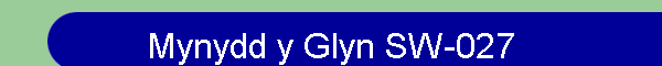 Mynydd y Glyn SW-027