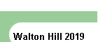 Walton Hill 2019
