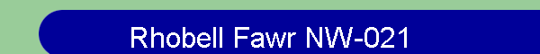 Rhobell Fawr NW-021