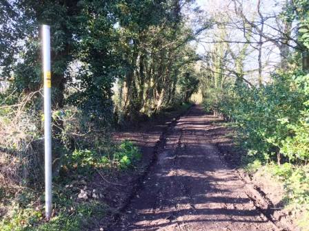 Stubby Lane