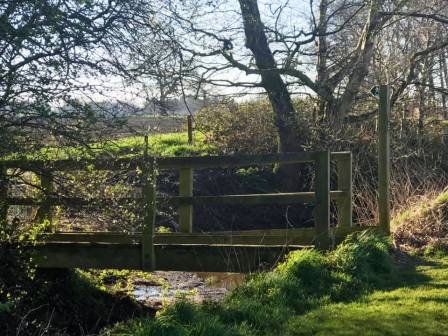 Approaching Capesthorne Park