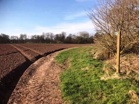 Approaching Capesthorne Park
