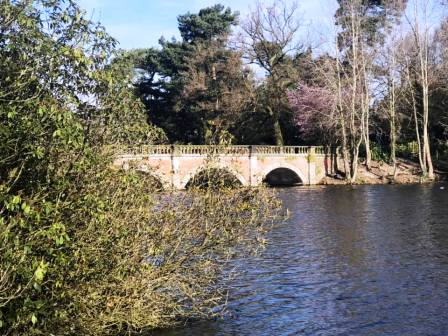 In the grounds of Capesthorne Hall