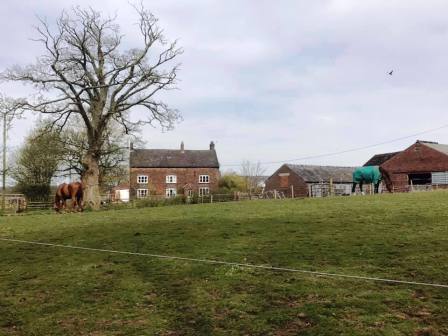 Great Tidnock Farm