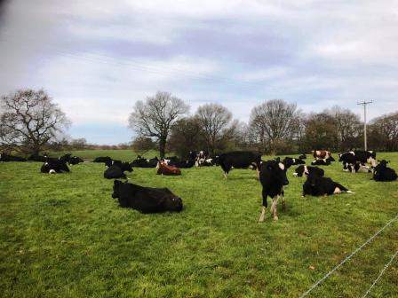 Great Tidnock Farm