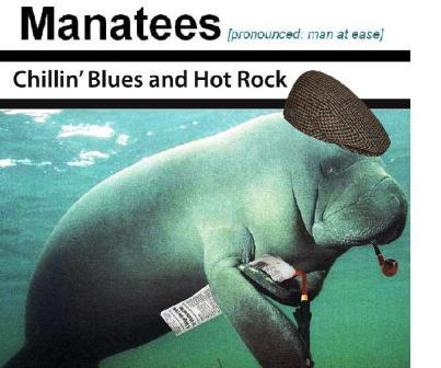Manatees - 8 to 14 piece blues-rock-jazz-funk-soul band