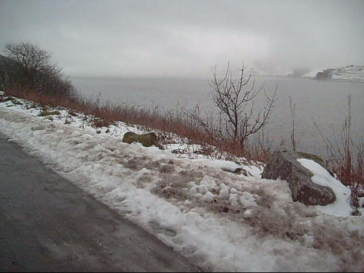 Parking spot by Llyn Celyn