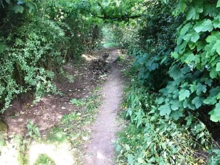 Heading down from Fittontown Farm