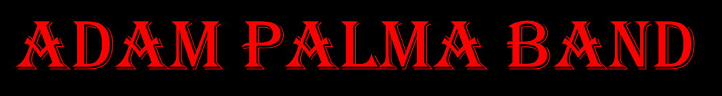 Adam Palma Band - 5 piece classic rock covers
