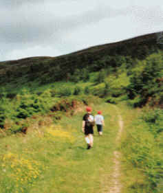 Jimmy & Liam ascend Penycloddiau NW-054