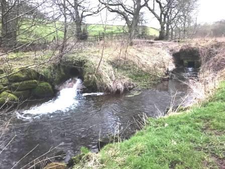 Canal feeder in the Churnet Valley