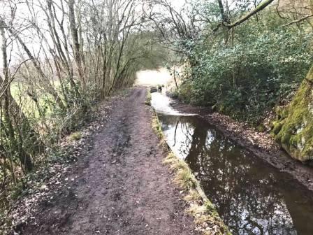 More of the canal feeder path