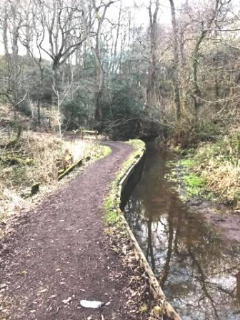 Meandering path and canal feeder